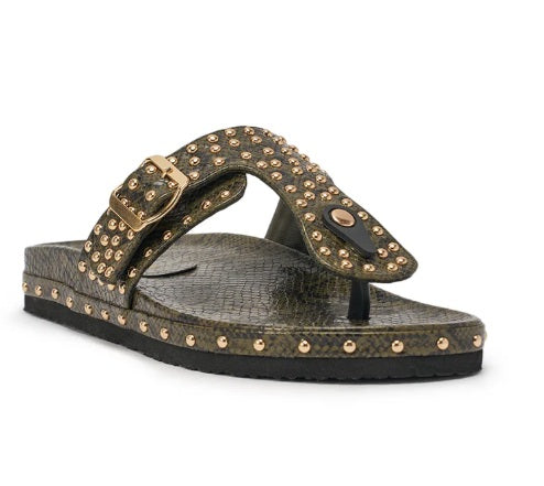 Croc The Rules
