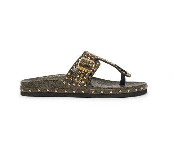 Croc The Rules