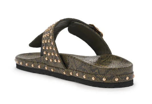Croc The Rules